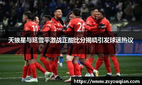 天狼星与延雪平激战正酣比分揭晓引发球迷热议